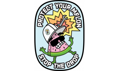 Protect Your Melon (Decal)