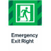 Emergency Exit Right, 24"x36"