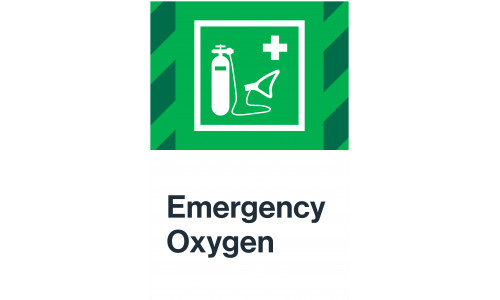 Emergency Oxygen, 24"x36"