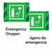 Emergency Oxygen, 24"x36"