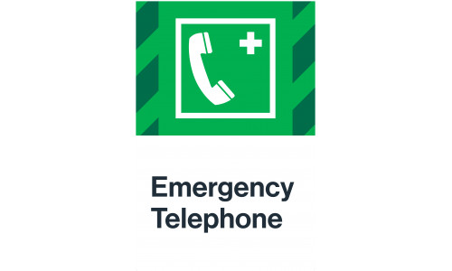 Emergency Telephone, 24"x36"