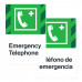 Emergency Telephone, 24"x36"