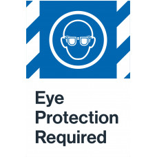 Eye Protection Required, 24"x36"