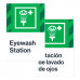 Eyewash Station, 24"36"