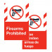 Firearms Prohibited, 24"x36"