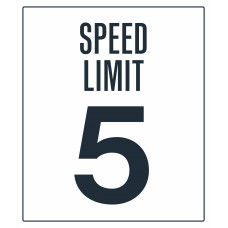 Speed Limit, 36"x42"