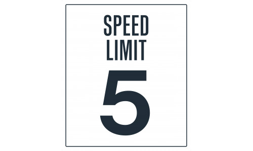 Speed Limit, 36"x42"