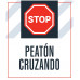Stop Pedestrian Crossing, 36"x42"
